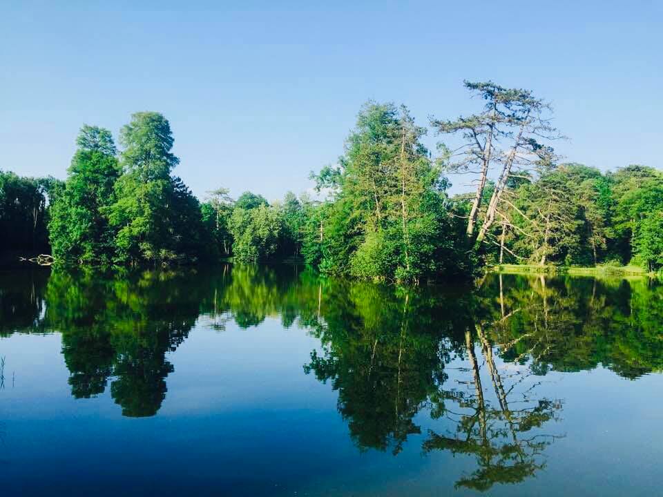 Etang des Fontaines